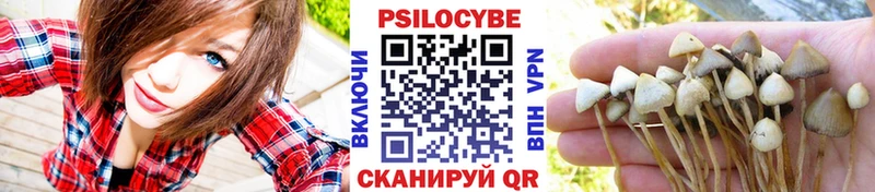 где найти   Льгов  Псилоцибиновые грибы MAGIC MUSHROOMS 