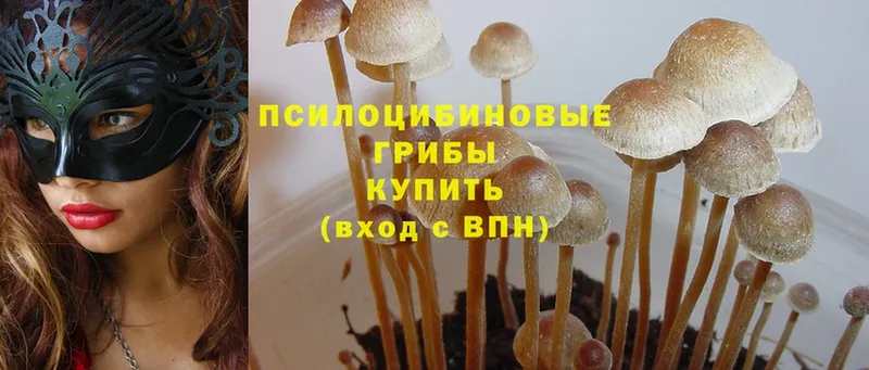 Псилоцибиновые грибы Magic Shrooms  закладка  Льгов 