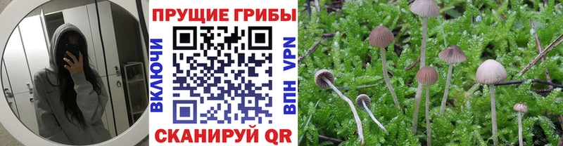Галлюциногенные грибы GOLDEN TEACHER Льгов